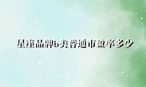 星座品牌b类普通市盈率多少