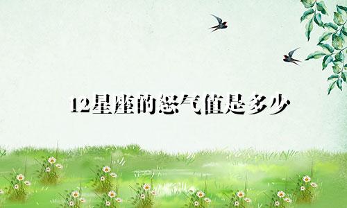 12星座的怒气值是多少