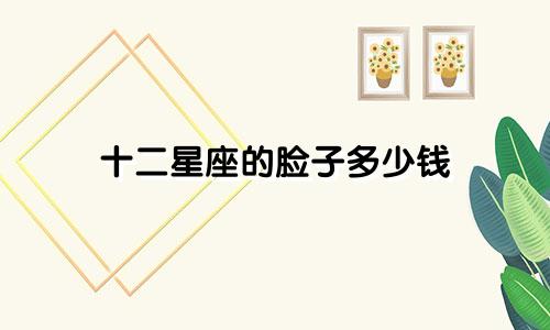 十二星座的脸子多少钱