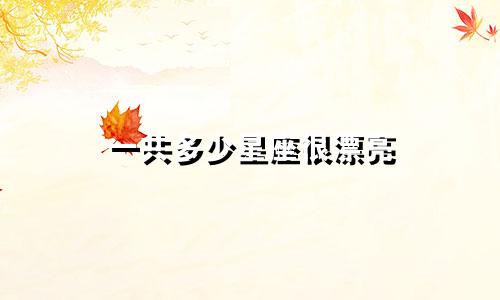 一共多少星座很漂亮