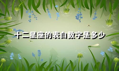 十二星座的表白数字是多少