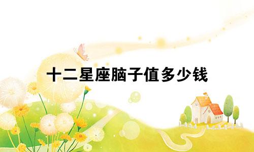 十二星座脑子值多少钱