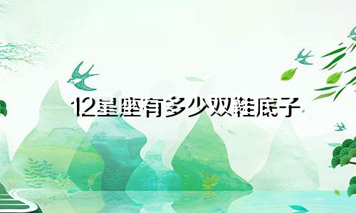 12星座有多少双鞋底子