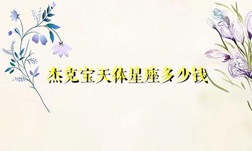 杰克宝天体星座多少钱