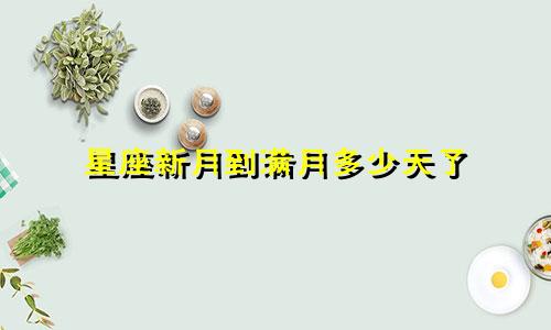 星座新月到满月多少天了