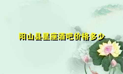 阳山县星座酒吧价格多少