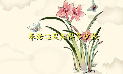养活12星座得多少钱