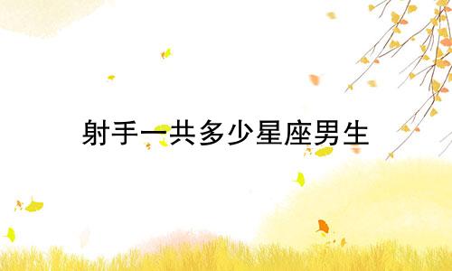 射手一共多少星座男生