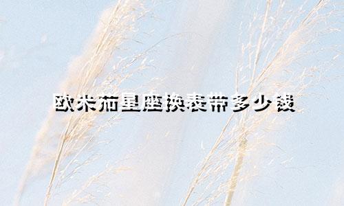 欧米茄星座换表带多少钱