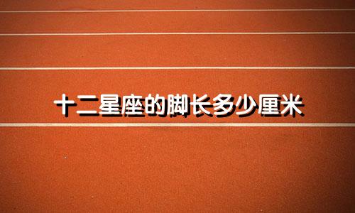 十二星座的脚长多少厘米