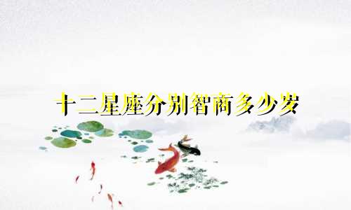十二星座分别智商多少岁