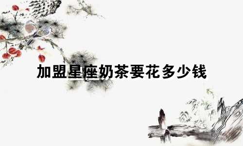 加盟星座奶茶要花多少钱