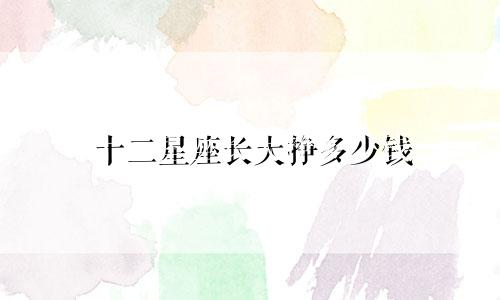 十二星座长大挣多少钱