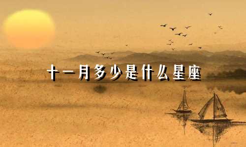 十一月多少是什么星座
