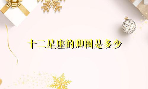 十二星座的脚围是多少