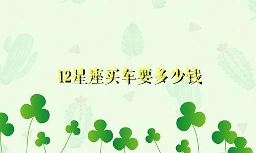 12星座买车要多少钱