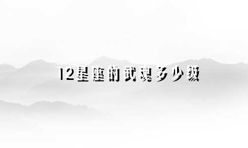12星座的武魂多少级