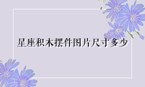 星座积木摆件图片尺寸多少