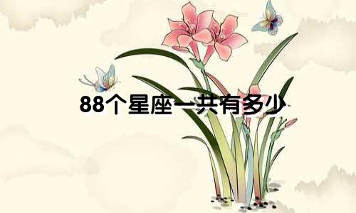 88个星座一共有多少
