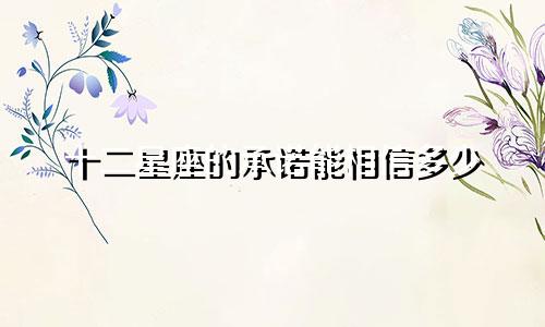 十二星座的承诺能相信多少