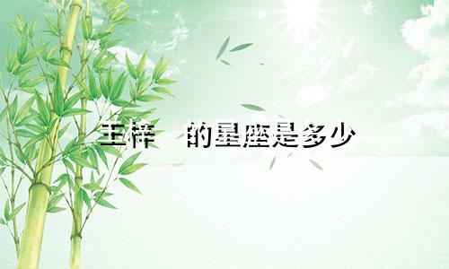 王梓荌的星座是多少
