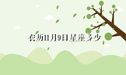 农历11月9日星座多少