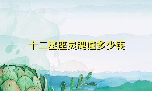 十二星座灵魂值多少钱