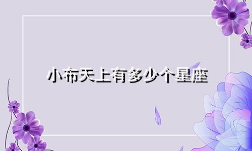 小布天上有多少个星座