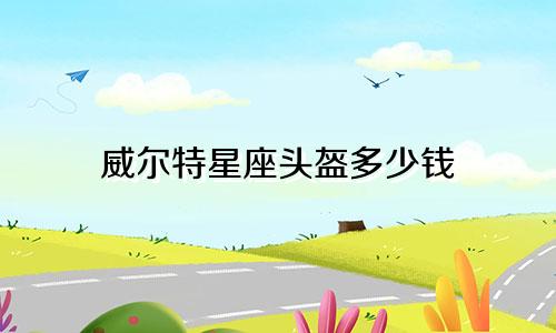 威尔特星座头盔多少钱