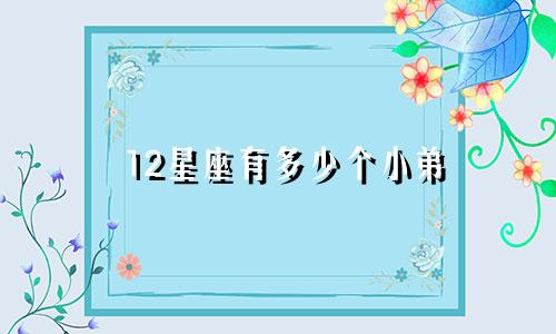 12星座有多少个小弟