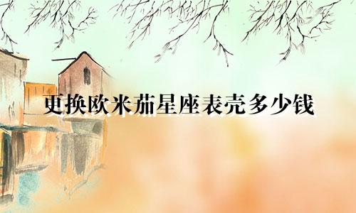 更换欧米茄星座表壳多少钱