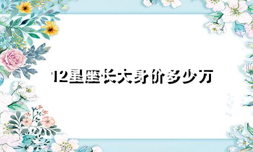 12星座长大身价多少万