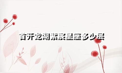 首开龙湖紫宸星座多少层