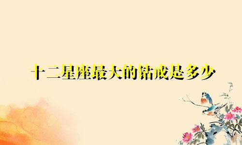 十二星座最大的钻戒是多少