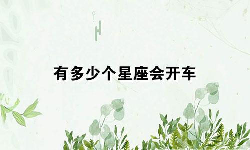 有多少个星座会开车