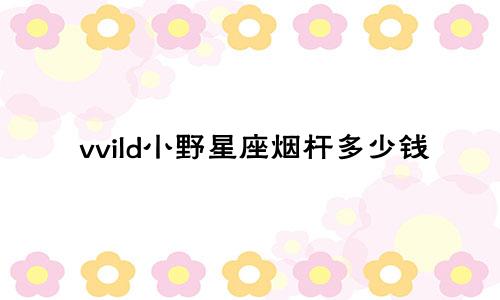 vvild小野星座烟杆多少钱