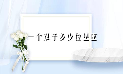 一个双子多少位星座