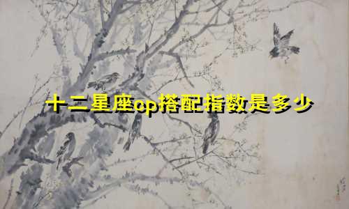 十二星座cp搭配指数是多少