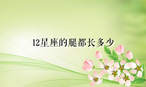 12星座的腿都长多少