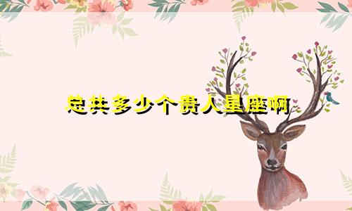 总共多少个贵人星座啊