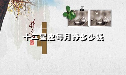 十二星座每月挣多少钱