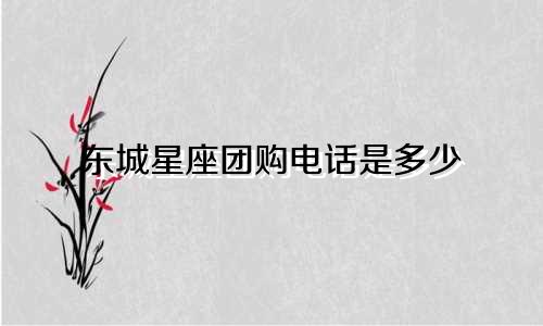 东城星座团购电话是多少