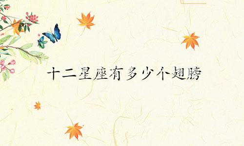 十二星座有多少个翅膀