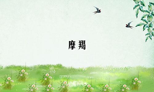 摩羯 天蝎星座比重多少