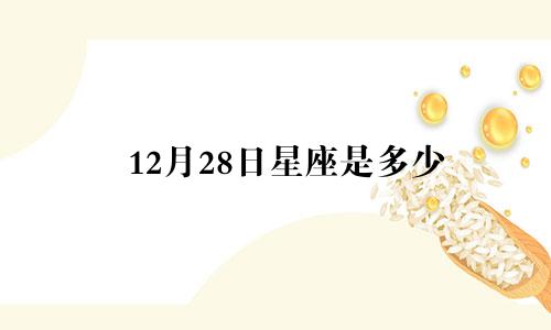 12月28日星座是多少