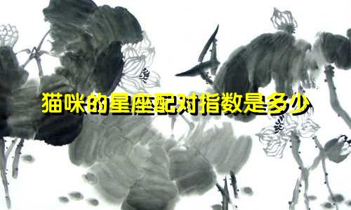 猫咪的星座配对指数是多少