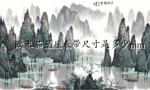 欧米茄星座表带尺寸是多少mm