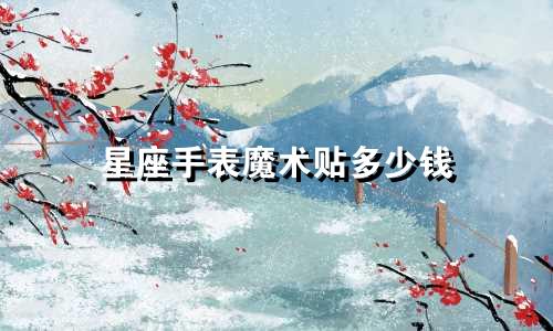 星座手表魔术贴多少钱