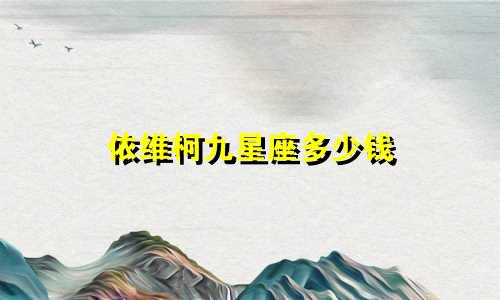 依维柯九星座多少钱