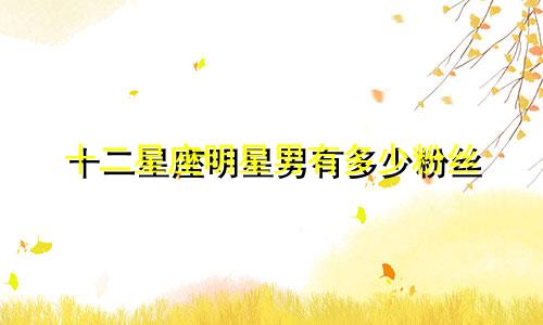 十二星座明星男有多少粉丝
